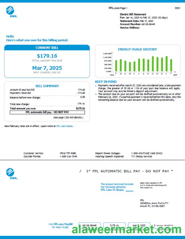 USA FPL utility bill template in Word and PDF formats, version 6